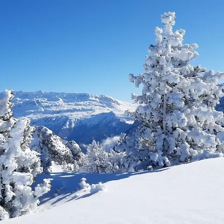 Studio Aux Pieds Des Pistes Roche Beranger Chamrousse Exterior photo