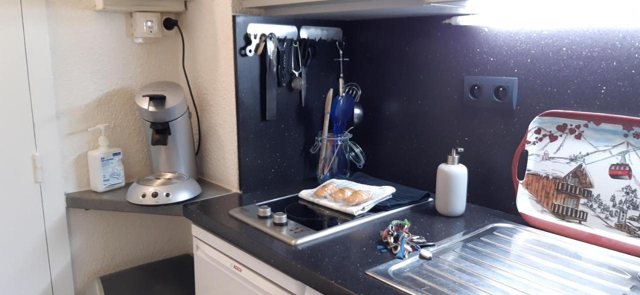 Apartment Aux Pieds Des Pistes Roche Beranger