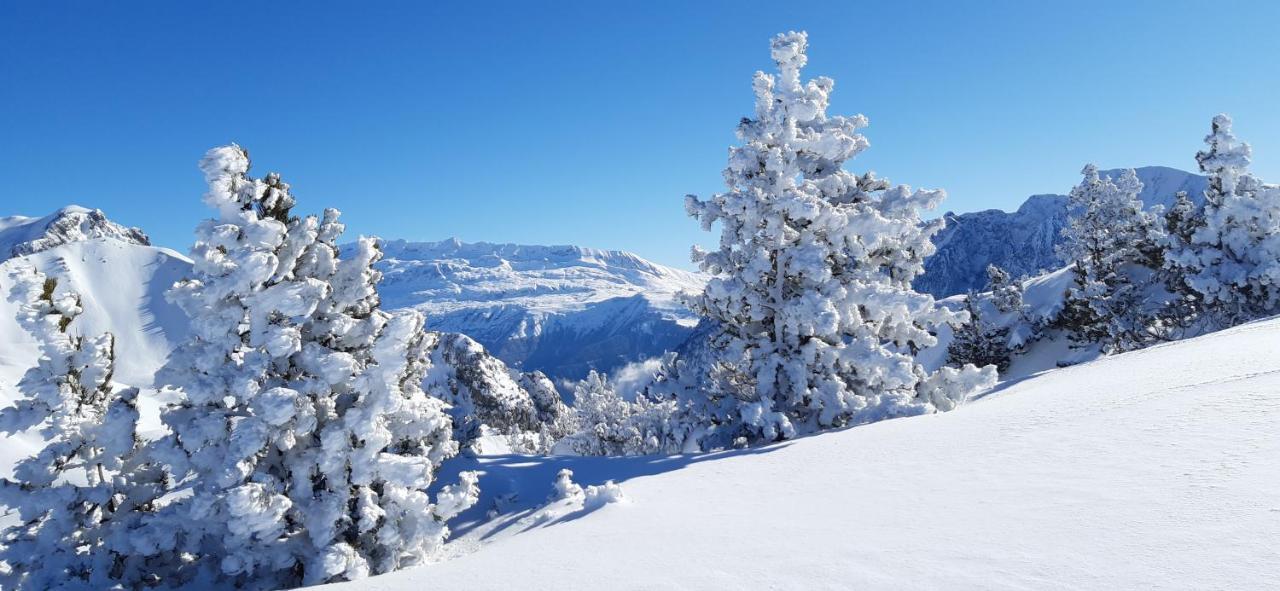 Apartment Aux Pieds Des Pistes Roche Beranger *